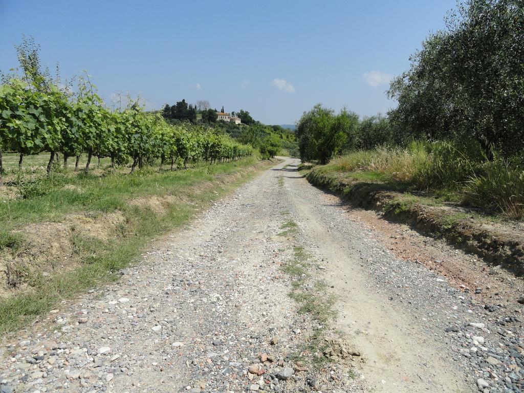 דירות Peccioli Poggio Novello מראה חיצוני תמונה