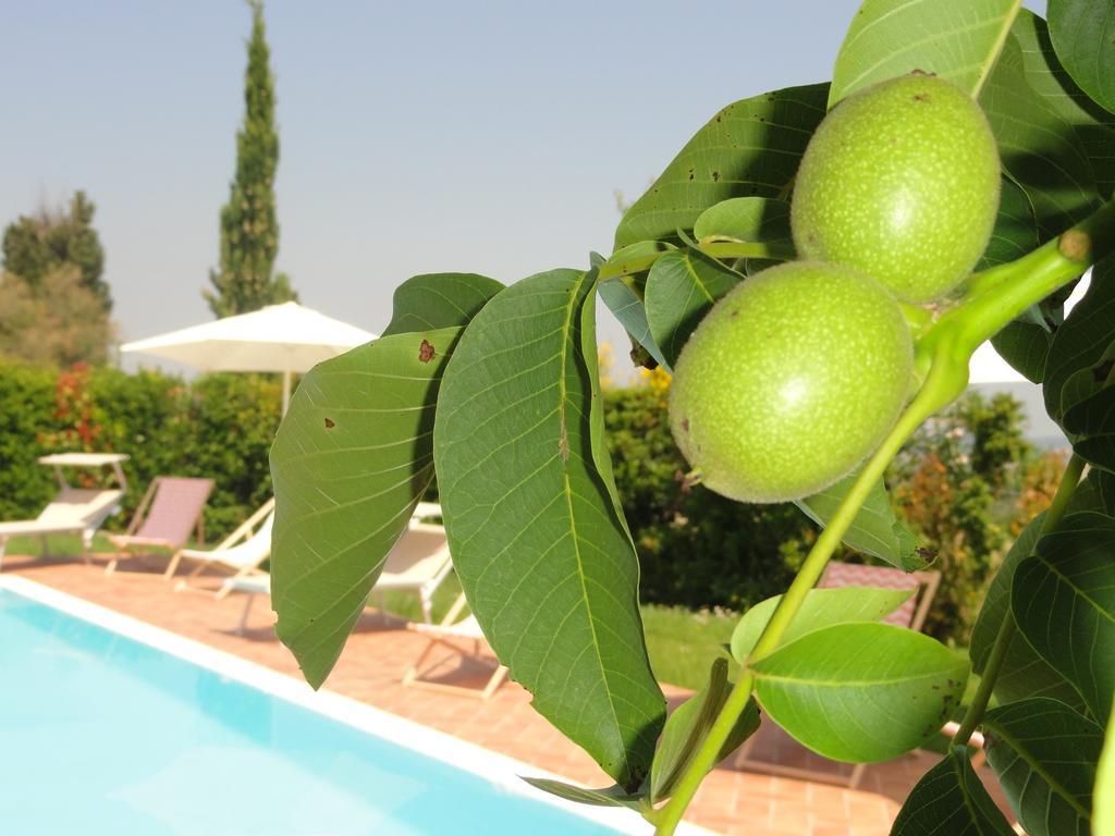 דירות Peccioli Poggio Novello מראה חיצוני תמונה